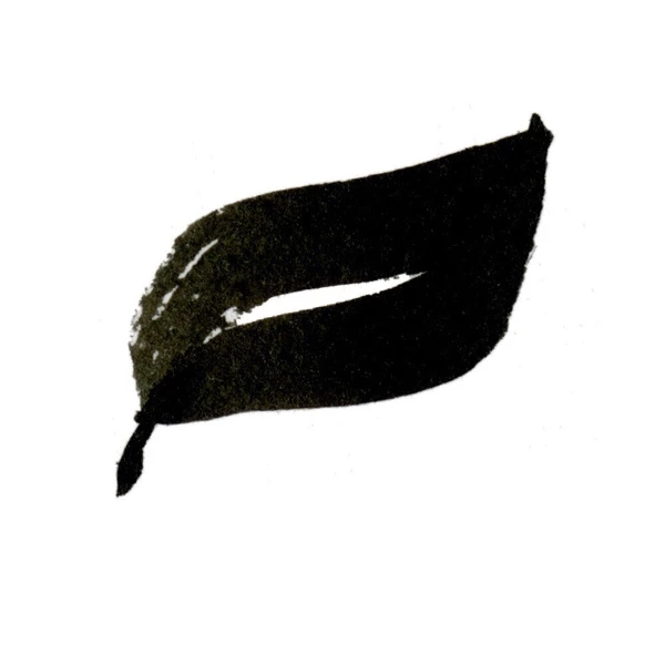 Cambio Tambien 20 Black 