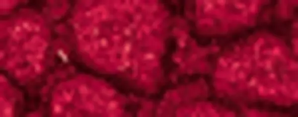 Fantasy Prisme 45 ml - 14 Cherry blossom