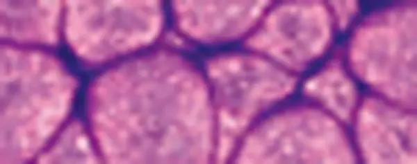 Fantasy Prisme 45 ml - 25 Pearl violine