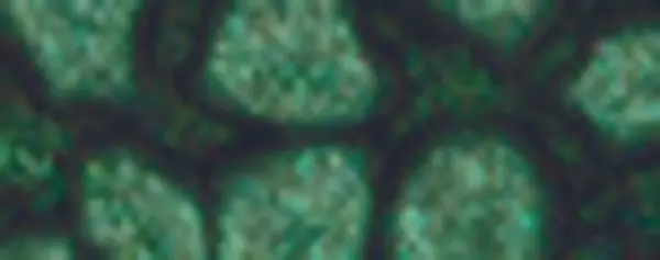 Fantasy Prisme 45 ml - 29 Leaf 