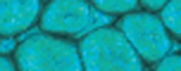 Fantasy Prisme 45 ml - 40 Turquoise